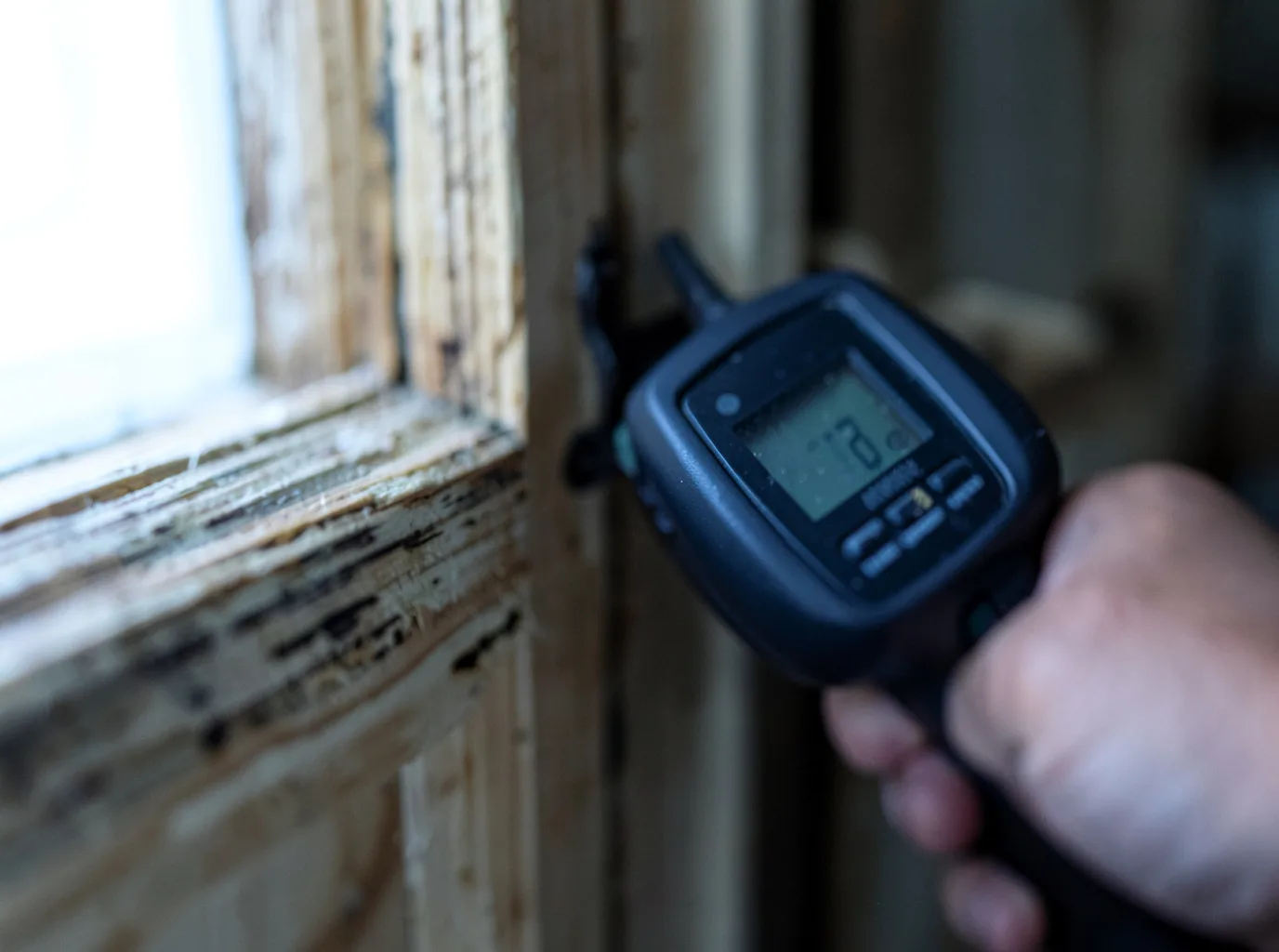 Moisture Inspection And Documentation in Tonasket, WA